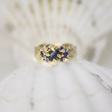 Treasure - The Atoll - 9ct Yellow Gold and Multi Sapphire ring